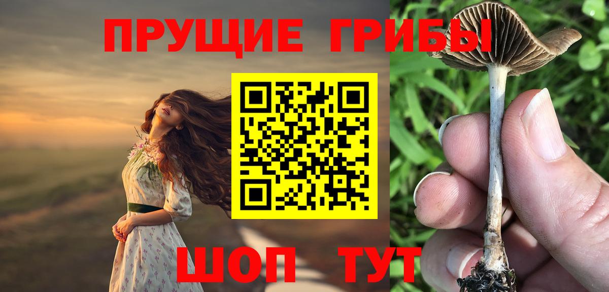 Зеленогорск  Галлюциногенные грибы ЛСД  Вход с VPN 