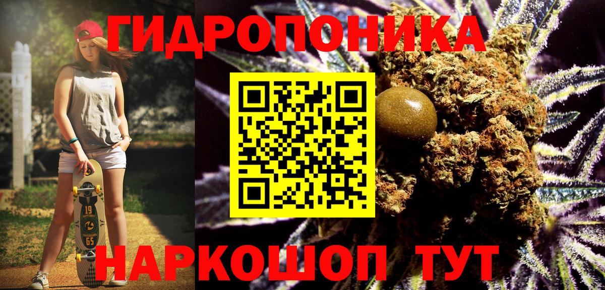 Бошки марихуана марихуана Зеленогорск